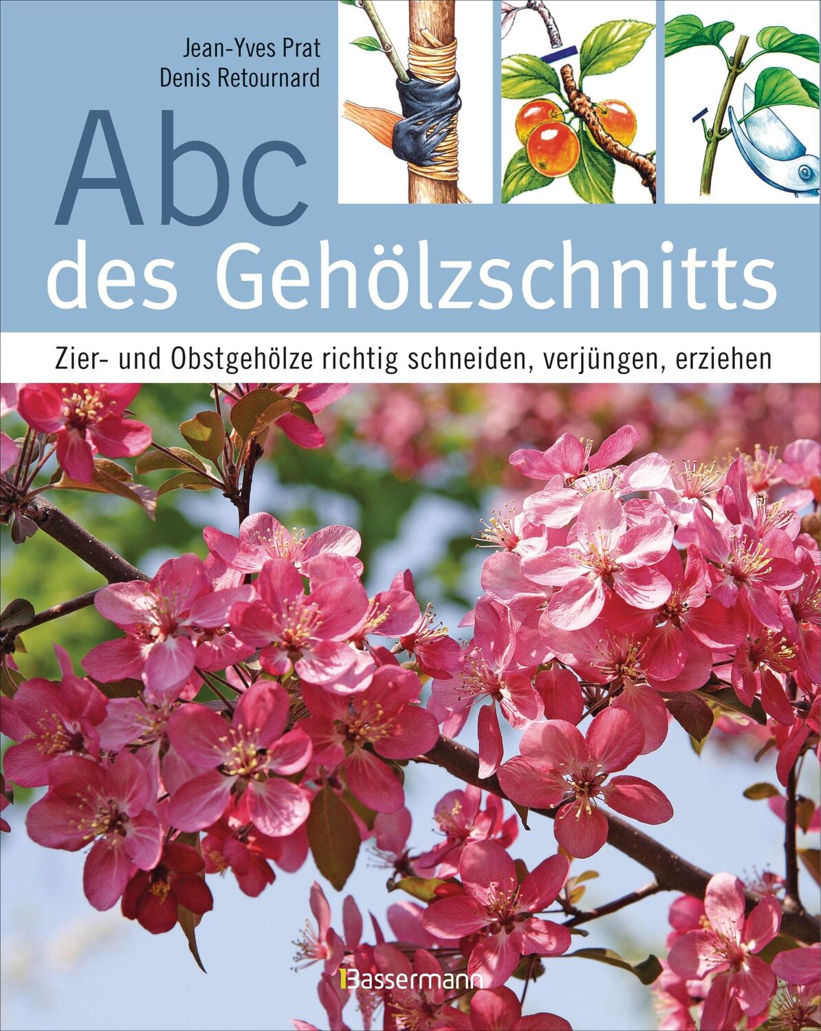 Cover: 9783809435143 | Abc des Gehölzschnitts | Jean-Yves Prat (u. a.) | Taschenbuch | 240 S.