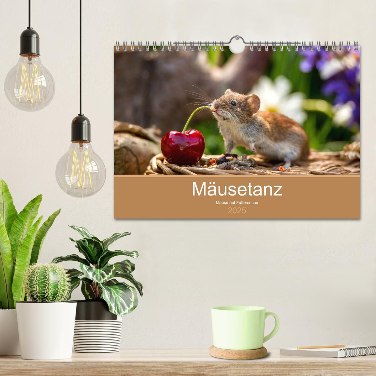 Bild: 9783435173372 | Mäusetanz (Wandkalender 2025 DIN A4 quer), CALVENDO Monatskalender