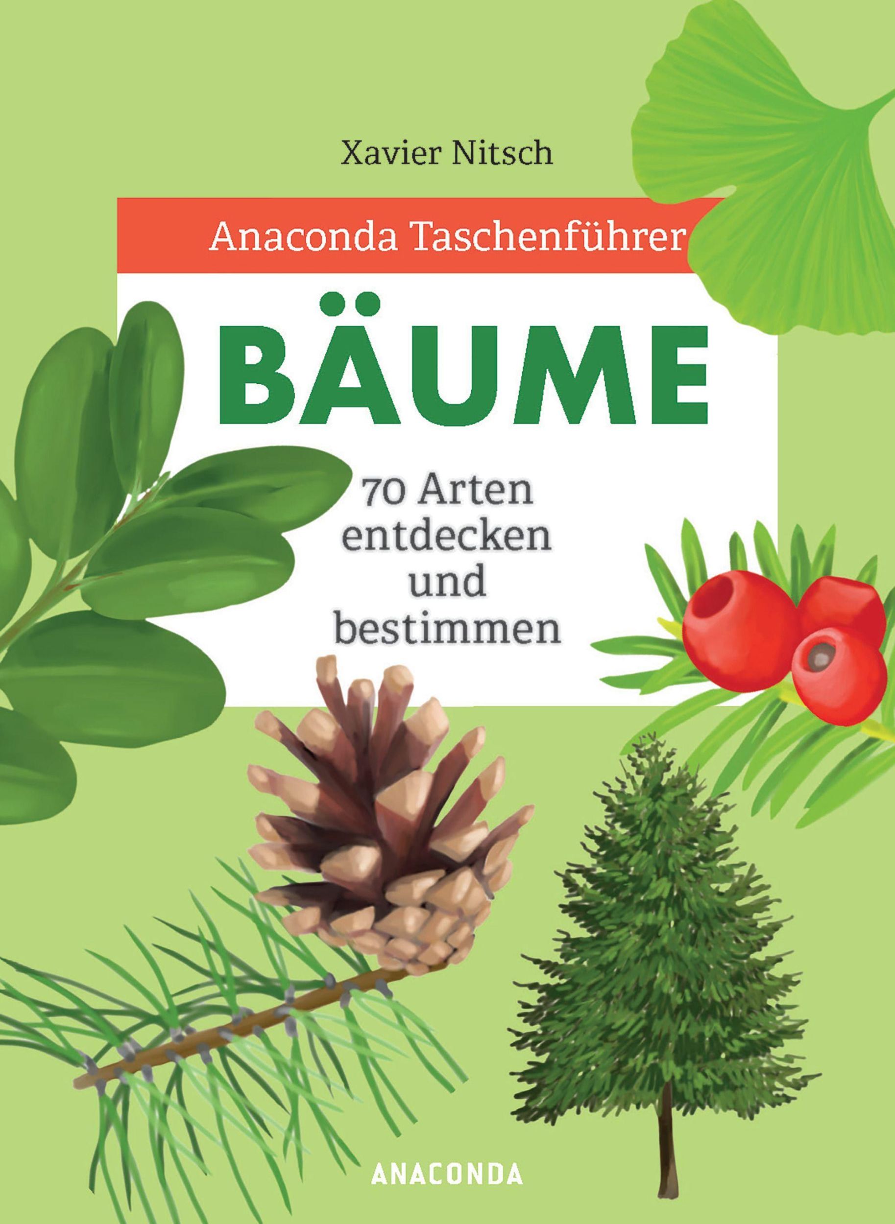 Cover: 9783730608302 | Anaconda Taschenführer Bäume. 70 Arten entdecken und bestimmen -