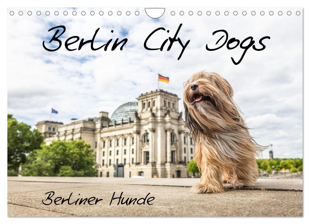 Cover: 9783457183526 | Berlin City Dogs - Berliner Hunde (Wandkalender 2025 DIN A4 quer),...