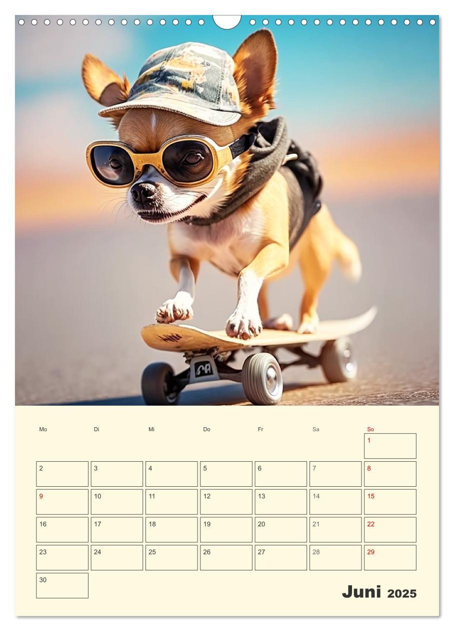 Bild: 9783435875672 | Witzige Chihuahuas. Glückliche Temperamentbündel (Wandkalender 2025...