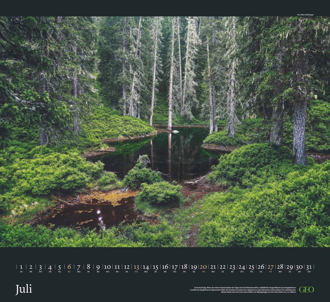 Bild: 4002725988683 | GEO - Sehnsucht Wald Wandkalender 2025 - Eindrucksvoller...