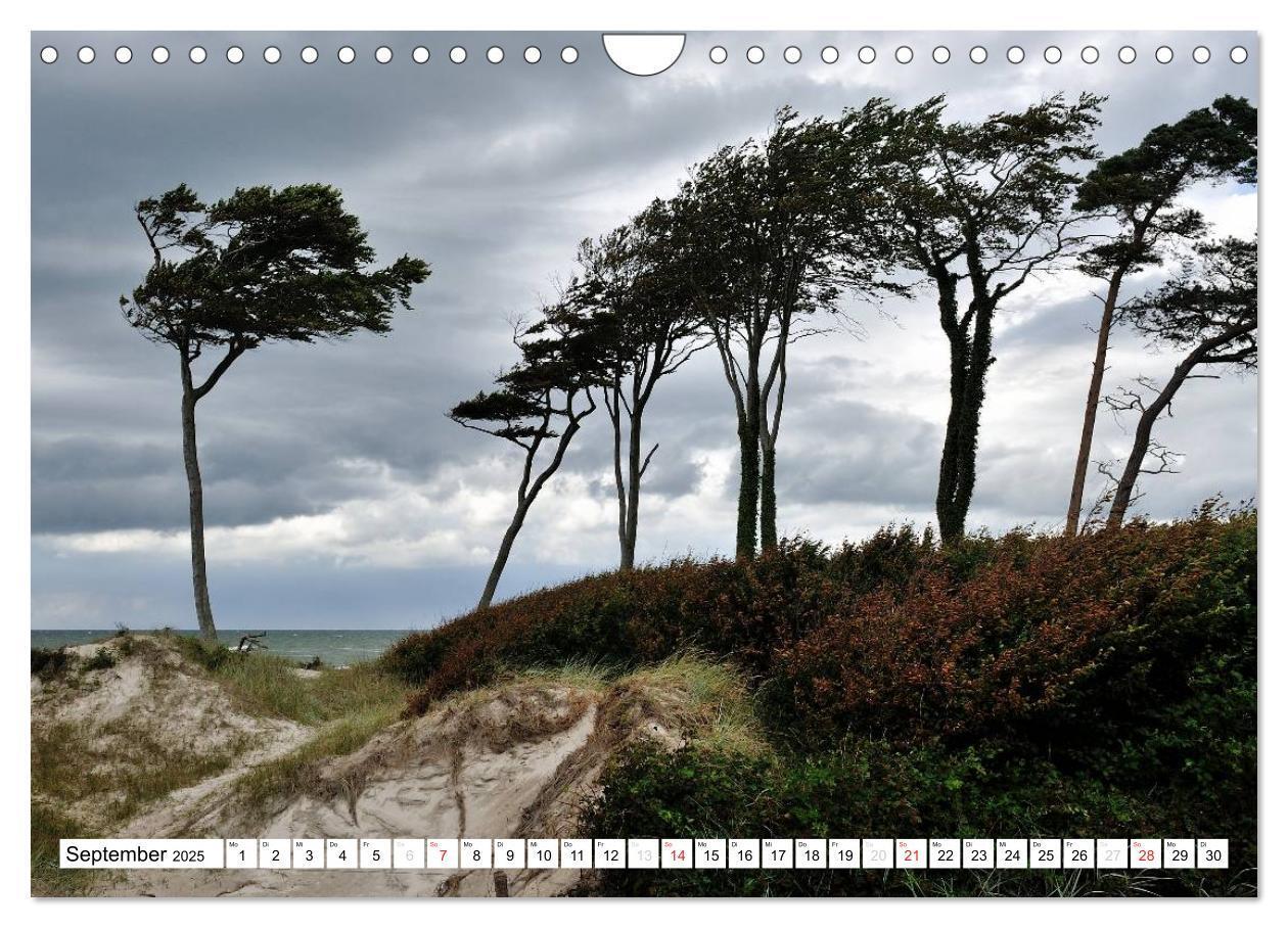 Bild: 9783435476152 | Naturschauspiel Darßer Weststrand (Wandkalender 2025 DIN A4 quer),...