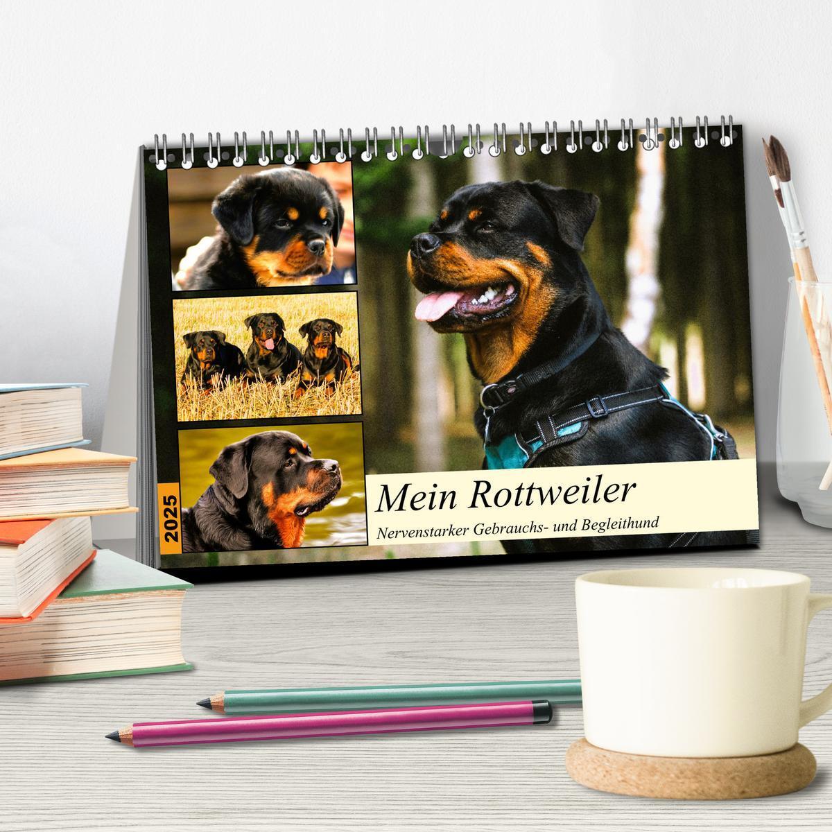 Bild: 9783383947391 | Mein Rottweiler. Nervenstarker Gebrauchs- und Begleithund...