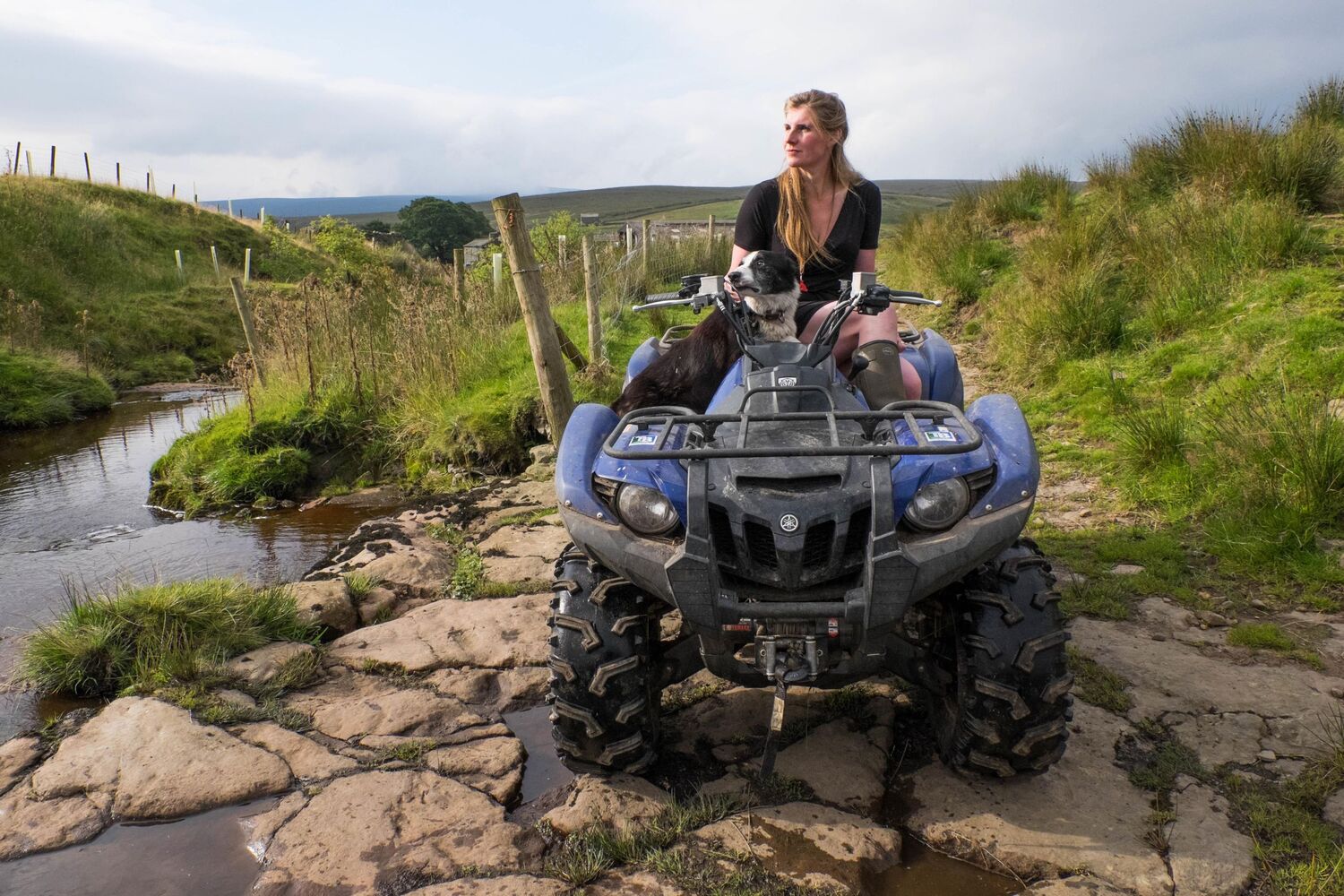 Autor: 9781447295266 | A Year in the Life of the Yorkshire Shepherdess | Amanda Owen | Buch