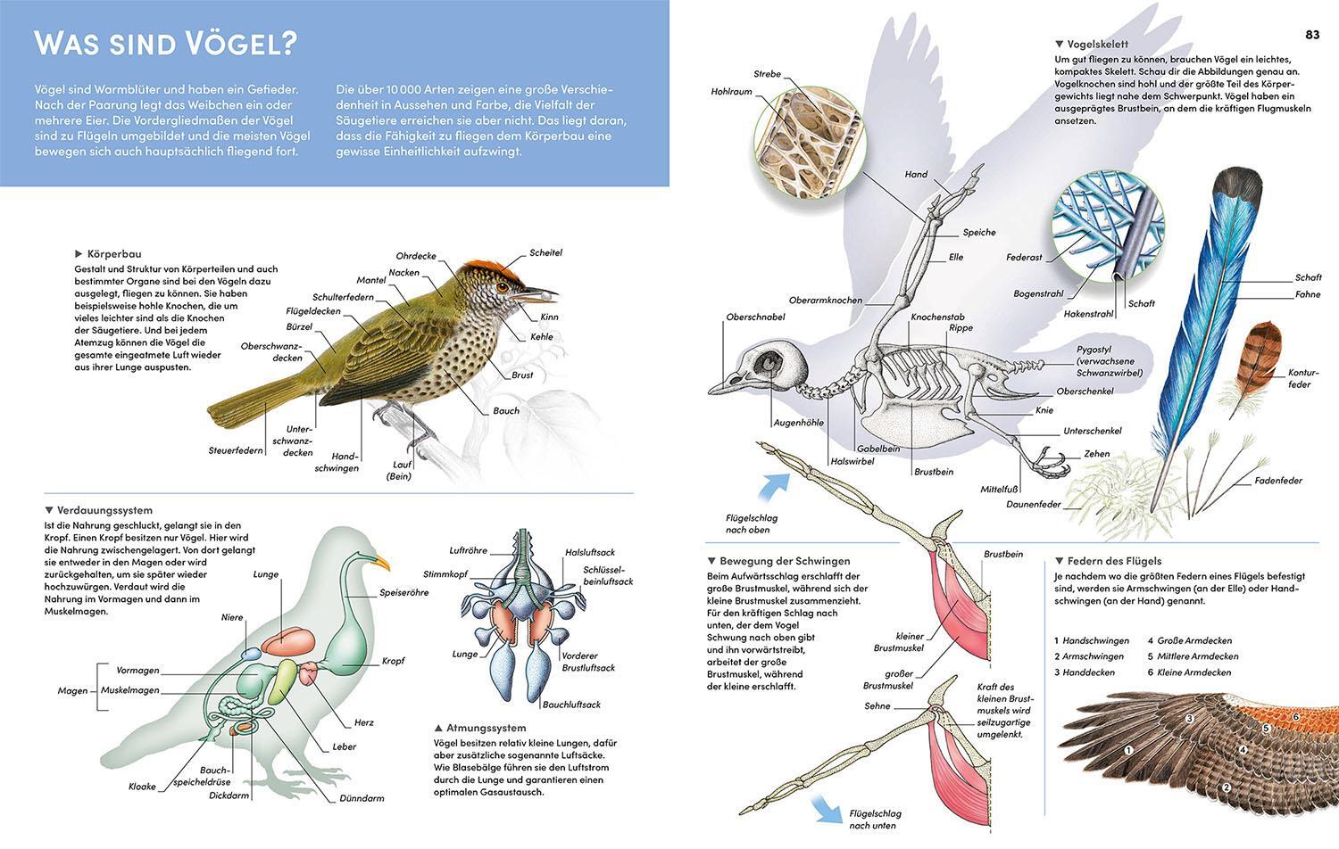 Bild: 9783440177945 | Der große Kosmos Tieratlas | Buch | 192 S. | Deutsch | 2024 | Kosmos