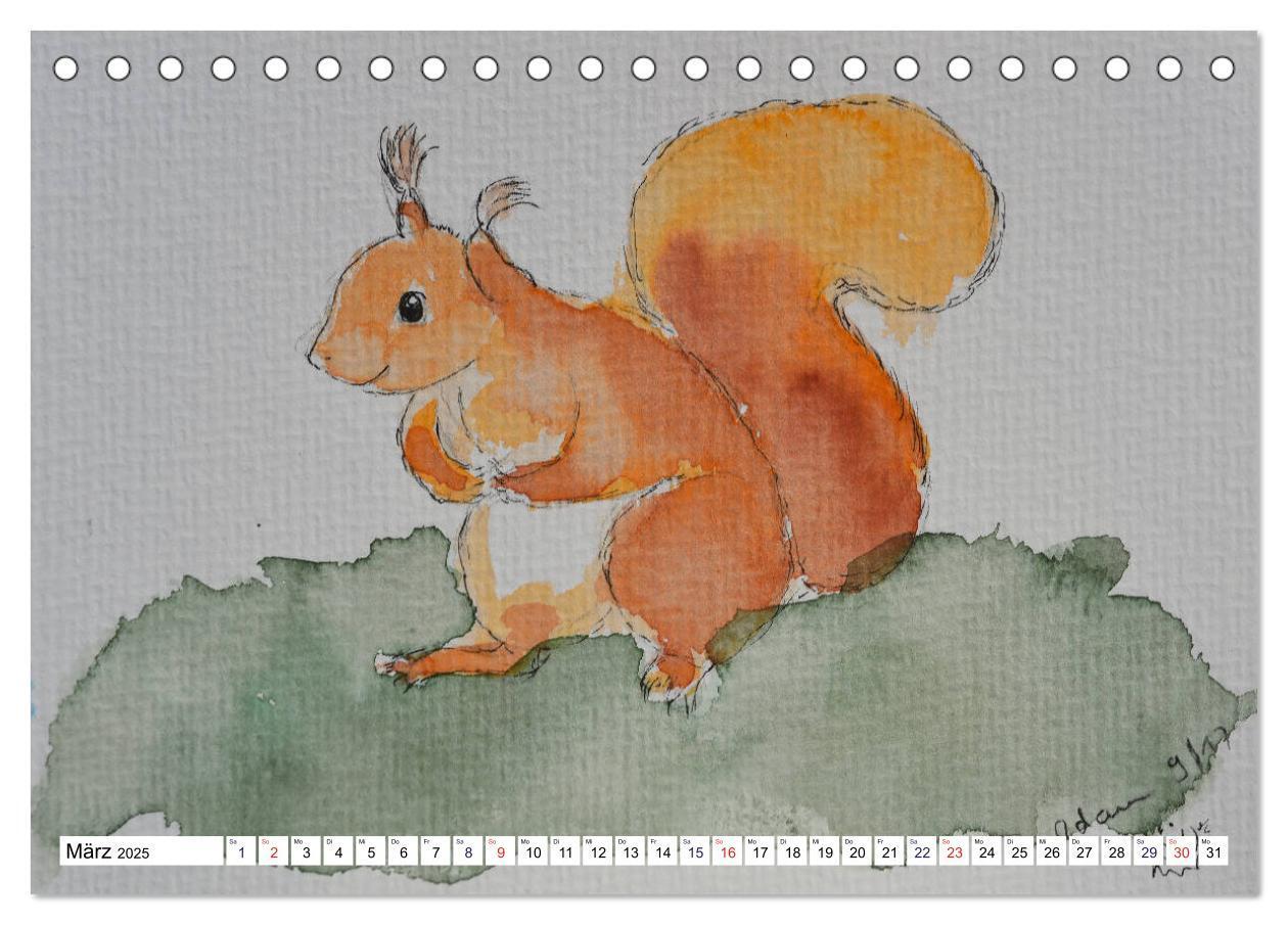 Bild: 9783435404124 | Eichhörnchen in Aquarell (Tischkalender 2025 DIN A5 quer), CALVENDO...