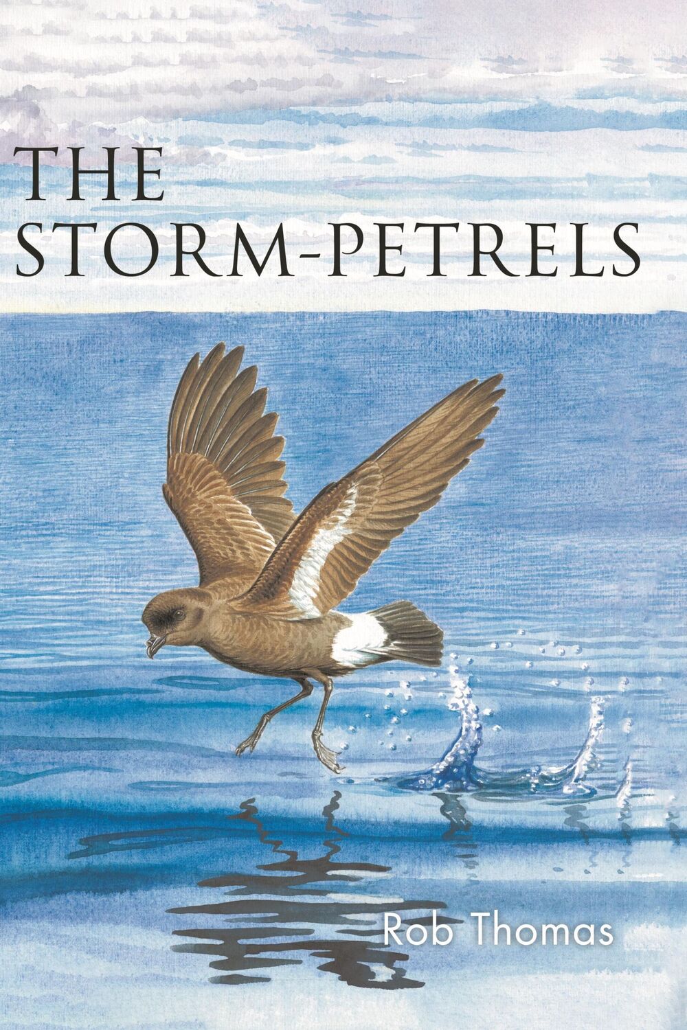 Cover: 9781472985828 | The Storm-petrels | Rob Thomas | Taschenbuch | Kartoniert / Broschiert