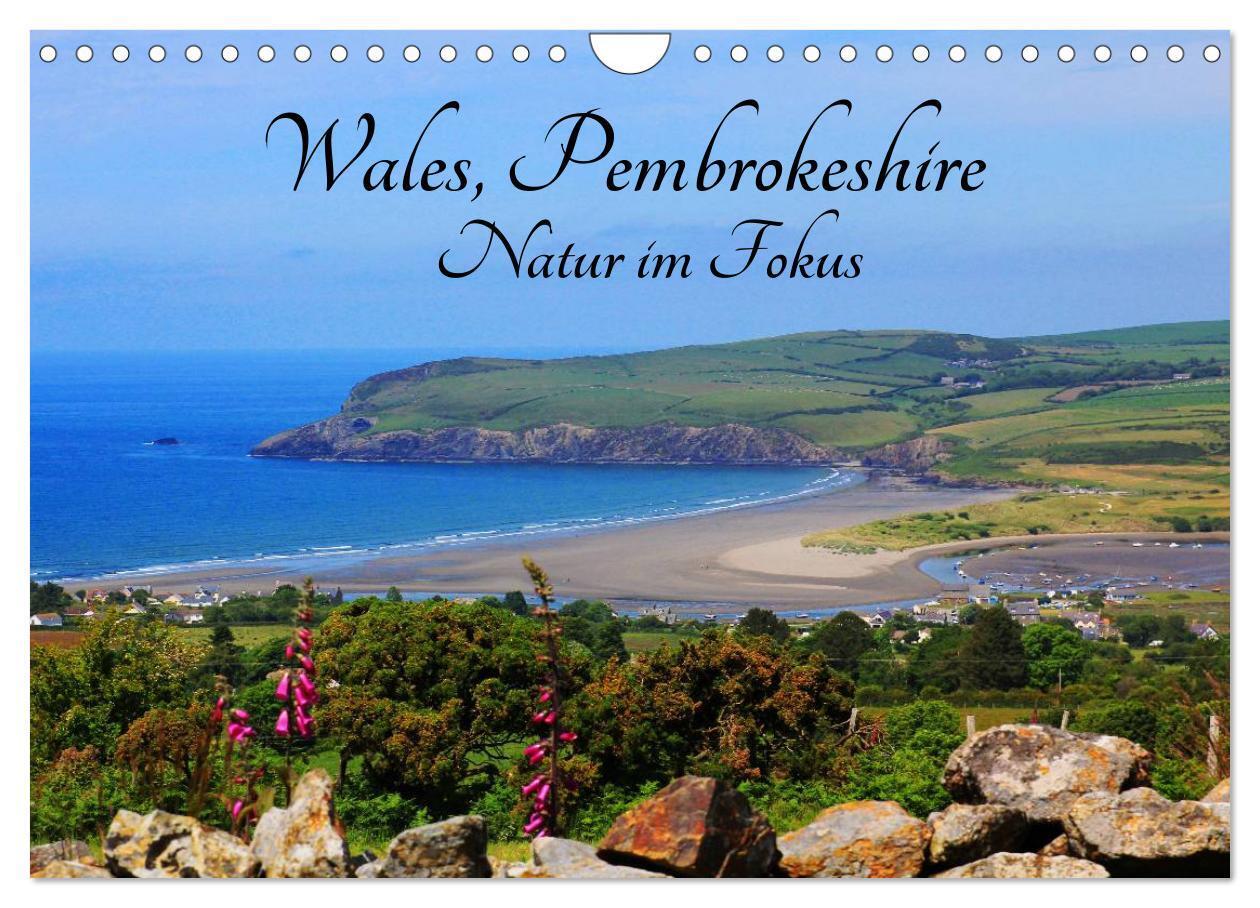 Cover: 9783435578801 | Wales Pembrokeshire - Natur im Fokus- (Wandkalender 2025 DIN A4...