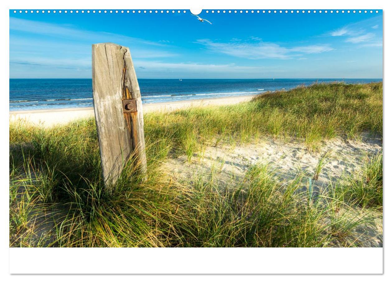 Bild: 9783435466351 | Grüße aus Texel (hochwertiger Premium Wandkalender 2025 DIN A2...