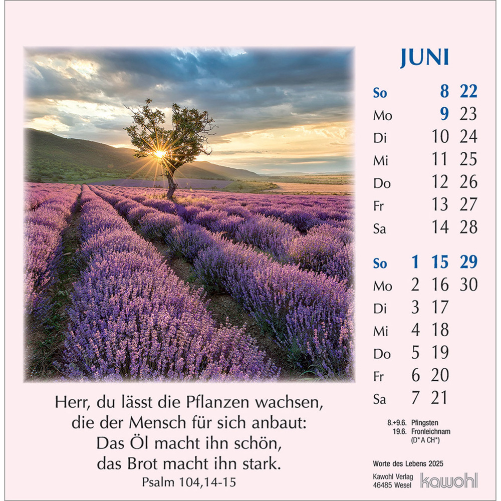 Bild: 9783754890059 | Worte des Lebens 2025 | Kalender | Spiralbindung. Spiralbindung | 2025