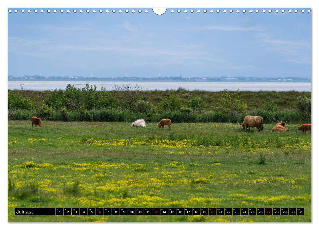 Bild: 9783435225293 | Urlaub auf Römö (Wandkalender 2025 DIN A3 quer), CALVENDO...