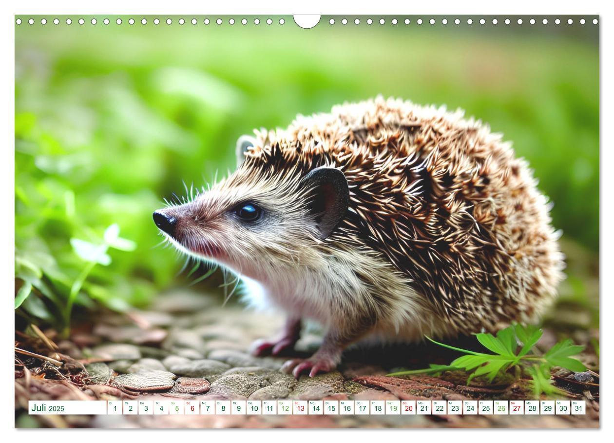 Bild: 9783383868726 | Niedliche Igel (Wandkalender 2025 DIN A3 quer), CALVENDO...