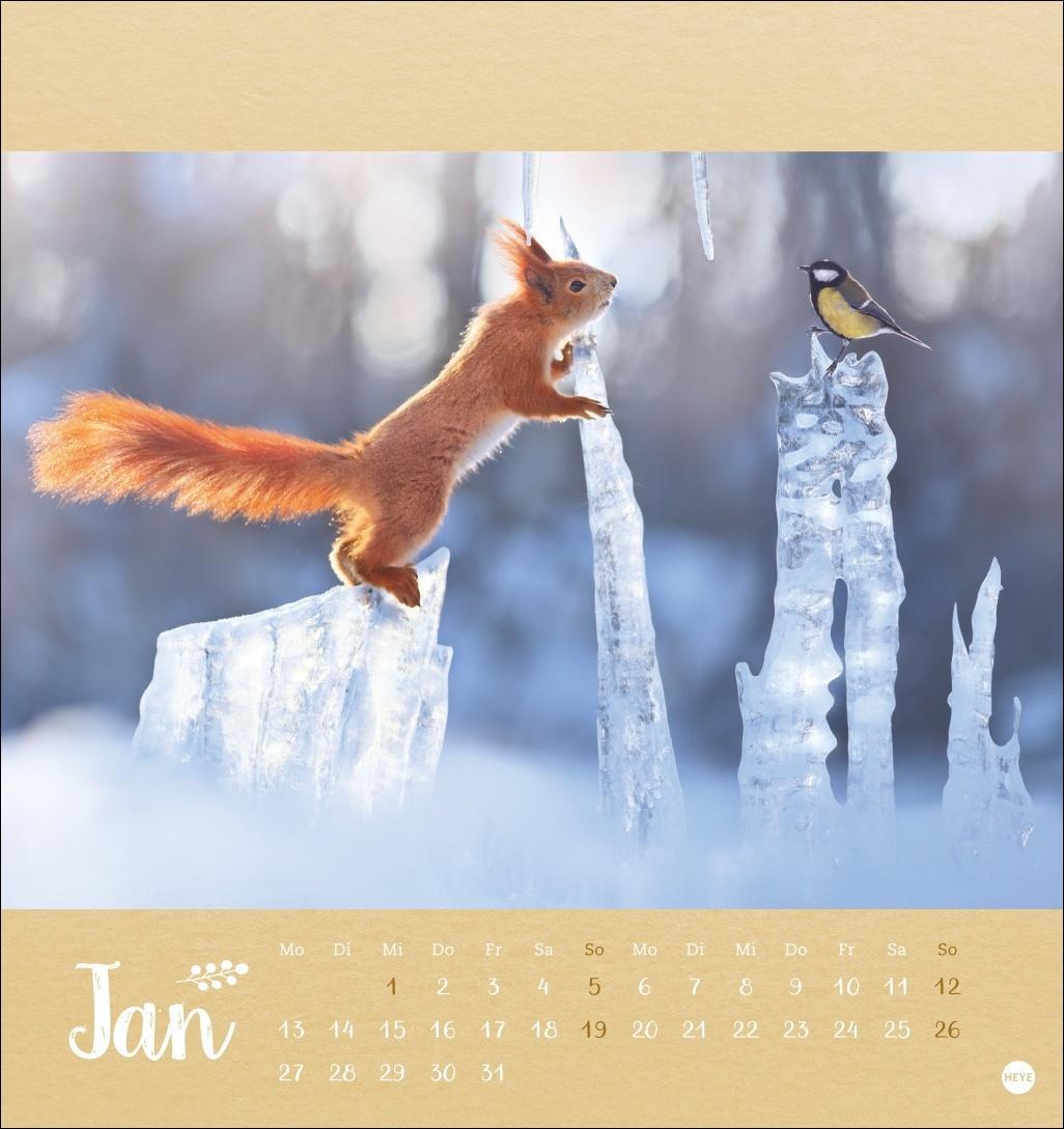 Bild: 9783756407019 | Vadim Trunov: Märchenhaftes Waldleben Postkartenkalender 2025 | 13 S.