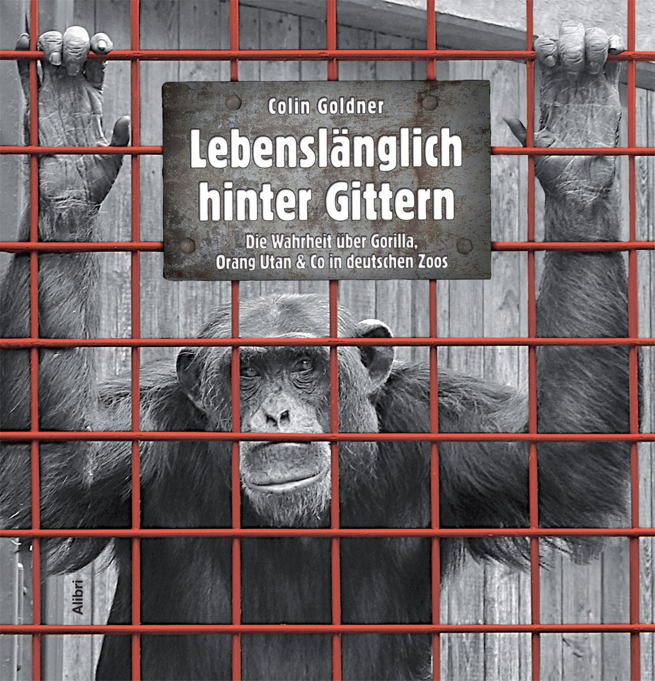 Cover: 9783865691125 | Lebenslänglich hinter Gittern | Colin Goldner | Taschenbuch | 2014