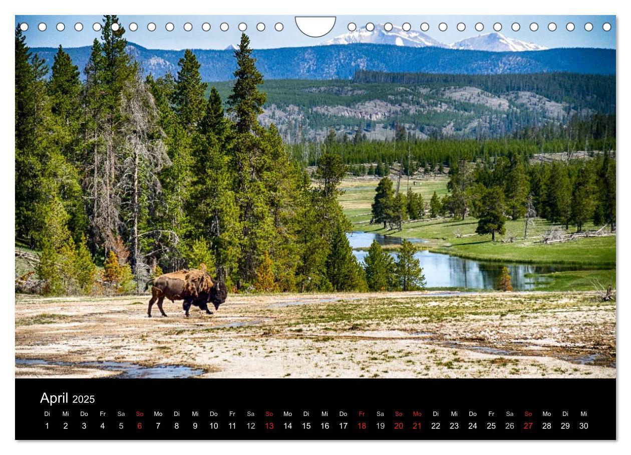 Bild: 9783435664498 | Traumziele in den USA. Der Yellowstone National Park (Wandkalender...