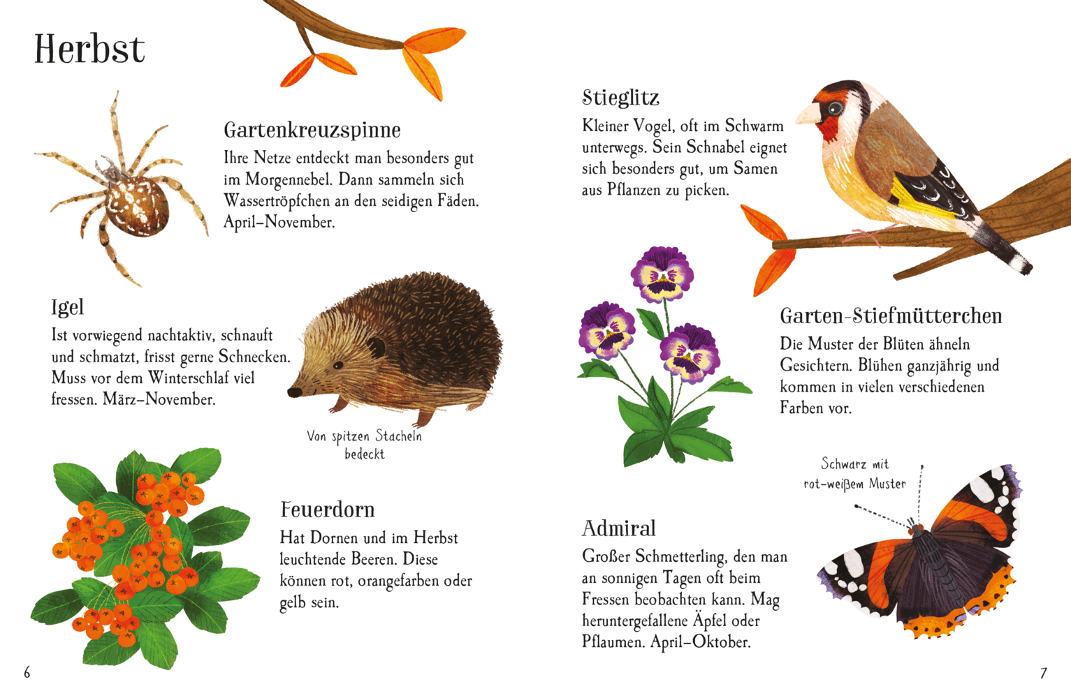 Bild: 9781035701261 | Usborne Minis Naturführer: Im Garten | Kate Nolan | Taschenbuch | 2024