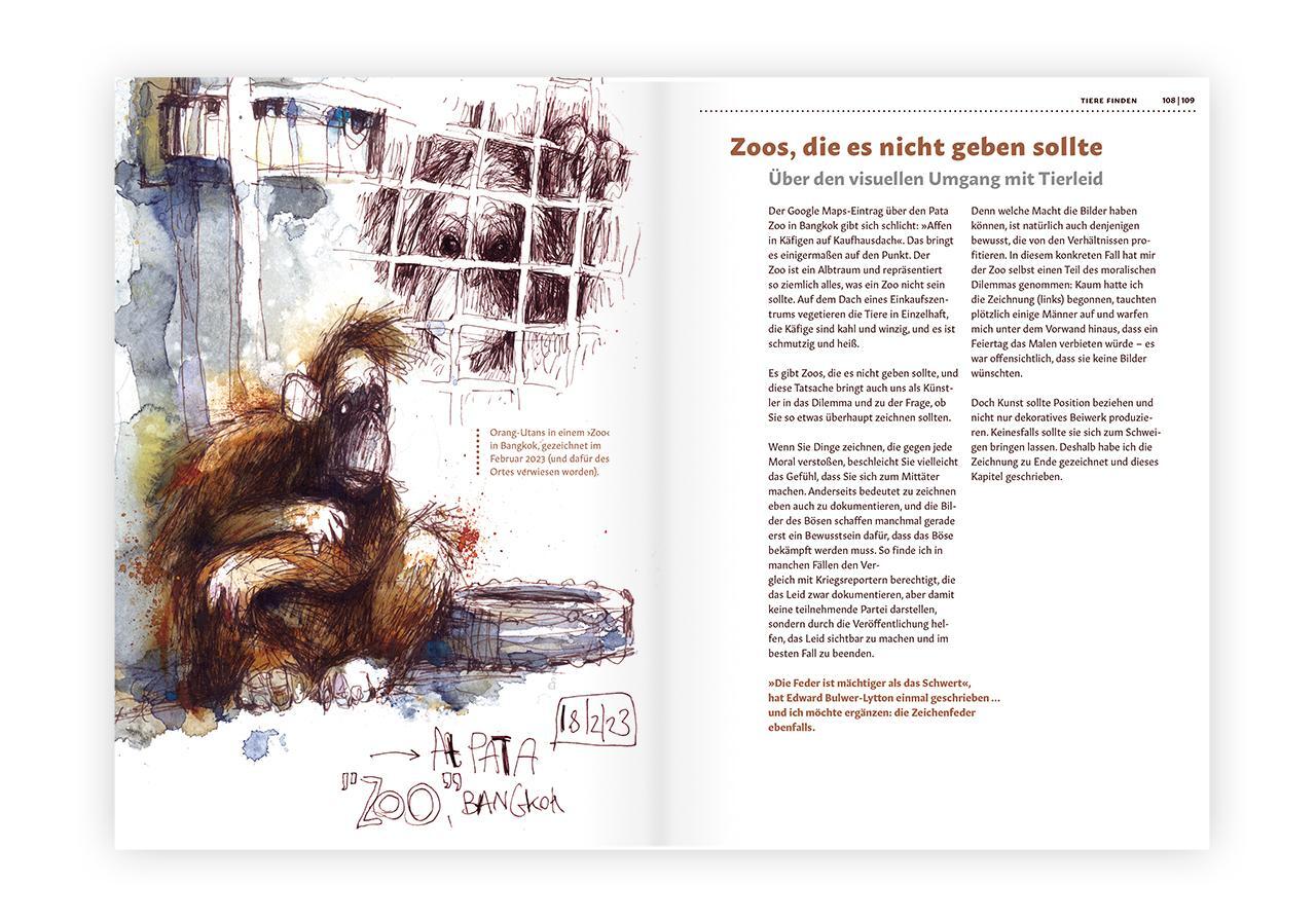 Bild: 9783874399661 | Tiere zeichnen und verstehen | Felix Scheinberger | Buch | 168 S.