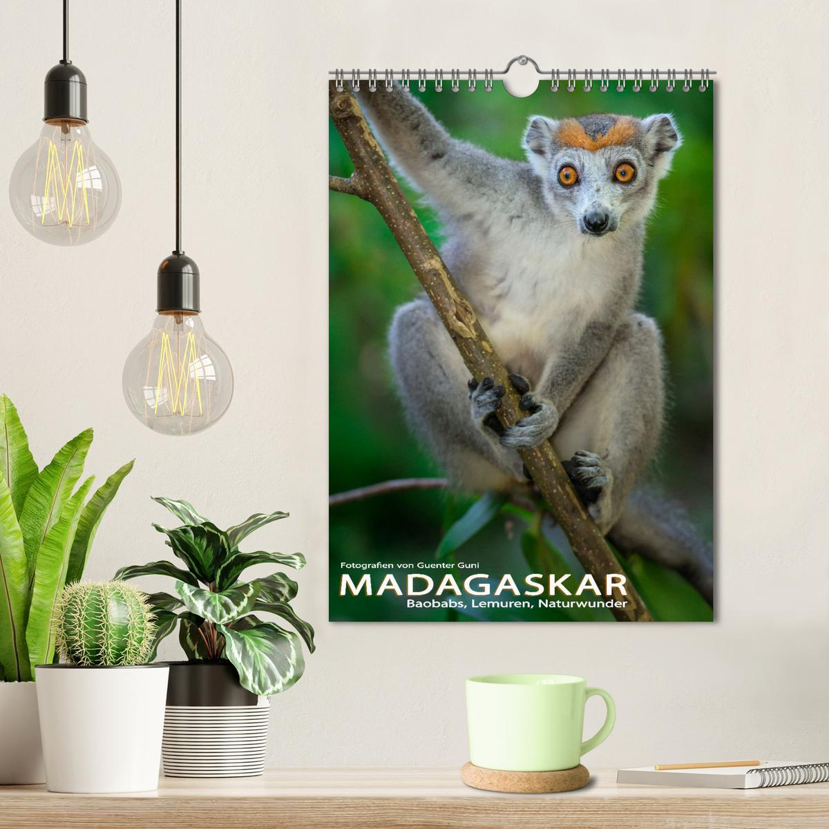 Bild: 9783435905140 | MADAGASKAR: Baobabs, Lemuren, Naturwunder (Wandkalender 2025 DIN A4...