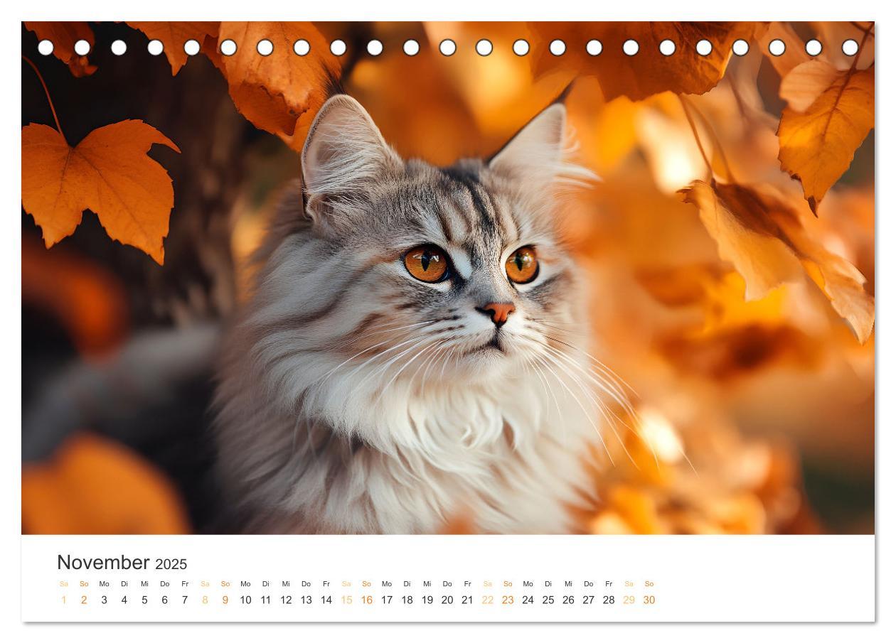 Bild: 9783457203897 | Katzen - sanfte Schönheiten (Tischkalender 2025 DIN A5 quer),...