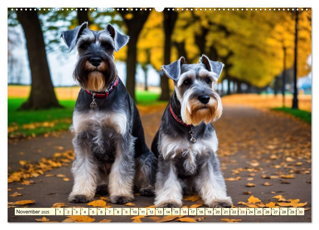 Bild: 9783457037423 | Schnauzer - vielseitige Allrounder (Wandkalender 2025 DIN A2 quer),...