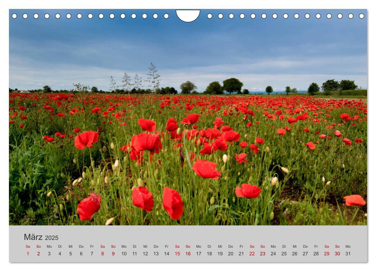 Bild: 9783435458691 | Die Schönheit der Bretagne (Wandkalender 2025 DIN A4 quer),...