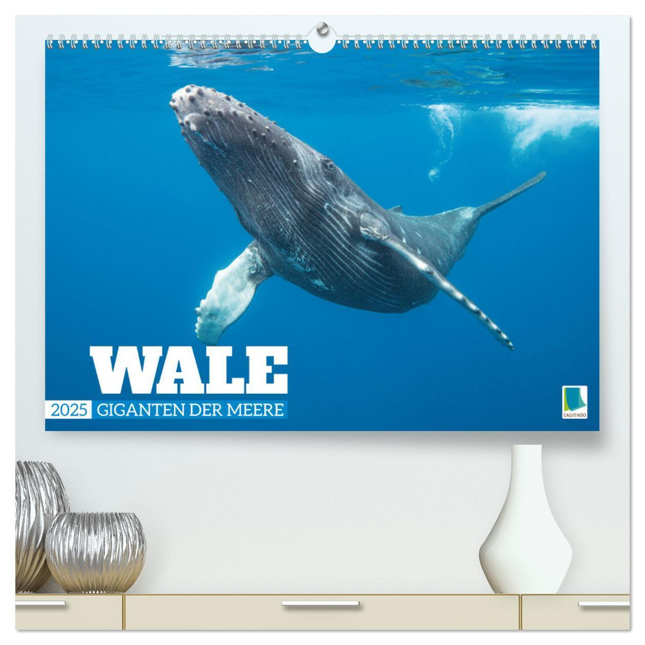 Cover: 9783383866395 | Wale: Giganten der Meere (hochwertiger Premium Wandkalender 2025...