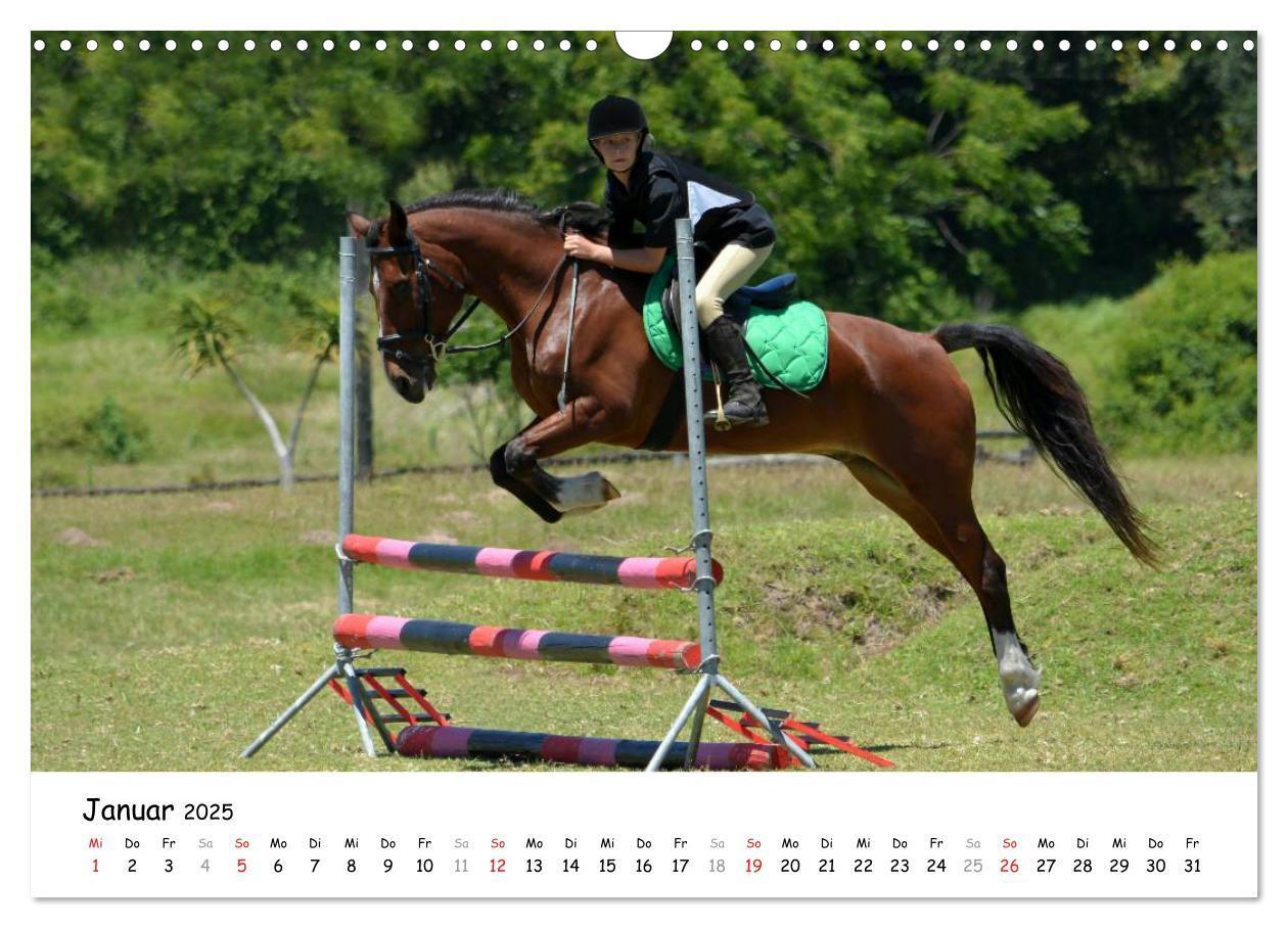 Bild: 9783435606481 | Pony Springreiten (Wandkalender 2025 DIN A3 quer), CALVENDO...