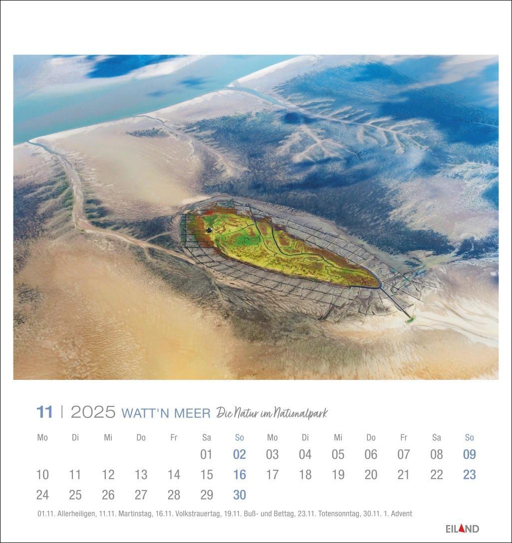 Bild: 9783964023285 | Watt'n Meer Postkartenkalender 2025 - Die Natur im Nationalpark | 2025