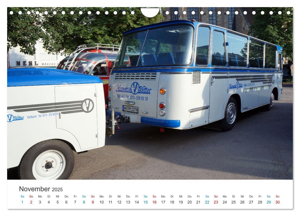 Bild: 9783383829895 | Omnibusse im Fokus (Wandkalender 2025 DIN A4 quer), CALVENDO...