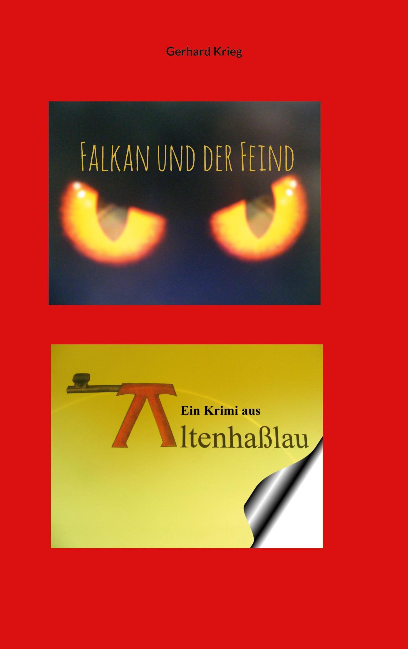 Cover: 9783759752406 | Falkan und der Feind | Gerhard Krieg | Taschenbuch | Falkan Krimis