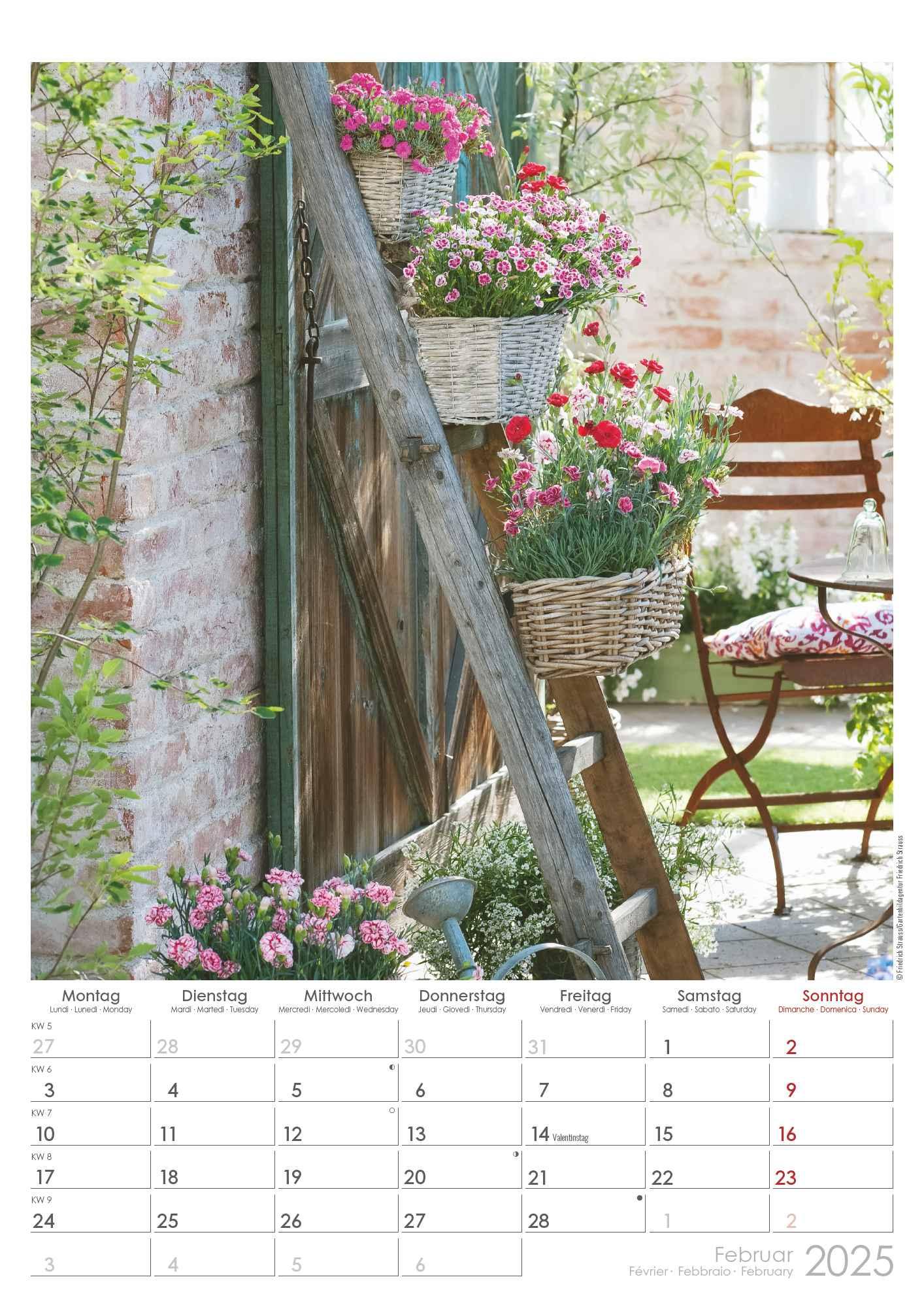 Bild: 4251732342036 | Landhaus 2025 - Bildkalender A3 (29,7x42 cm) - Country House - mit...