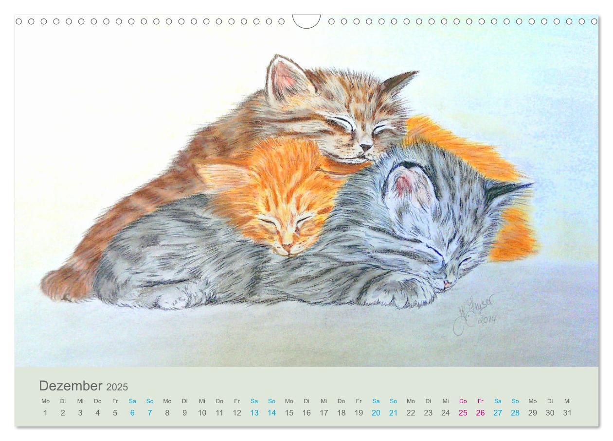 Bild: 9783435097487 | KATZEN PortraiTierART (Wandkalender 2025 DIN A3 quer), CALVENDO...