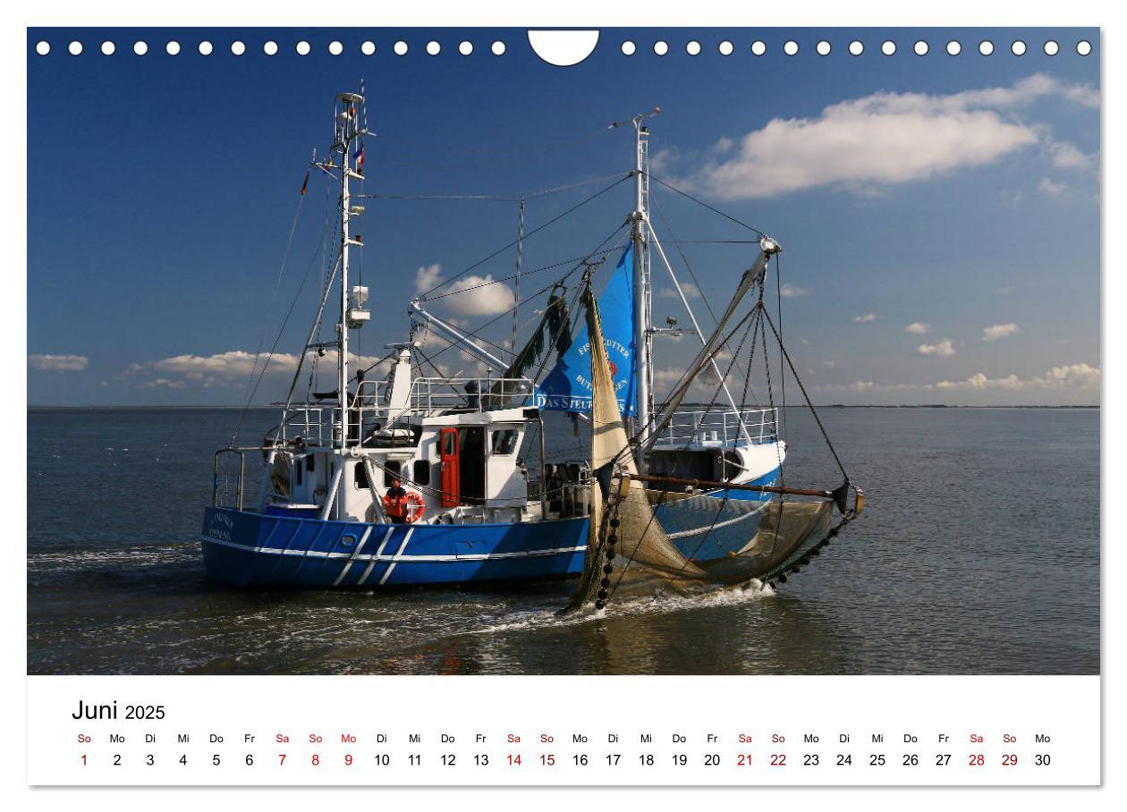 Bild: 9783435388387 | Insel Amrum - Ein Juwel unterm norddeutschen Himmel (Wandkalender...