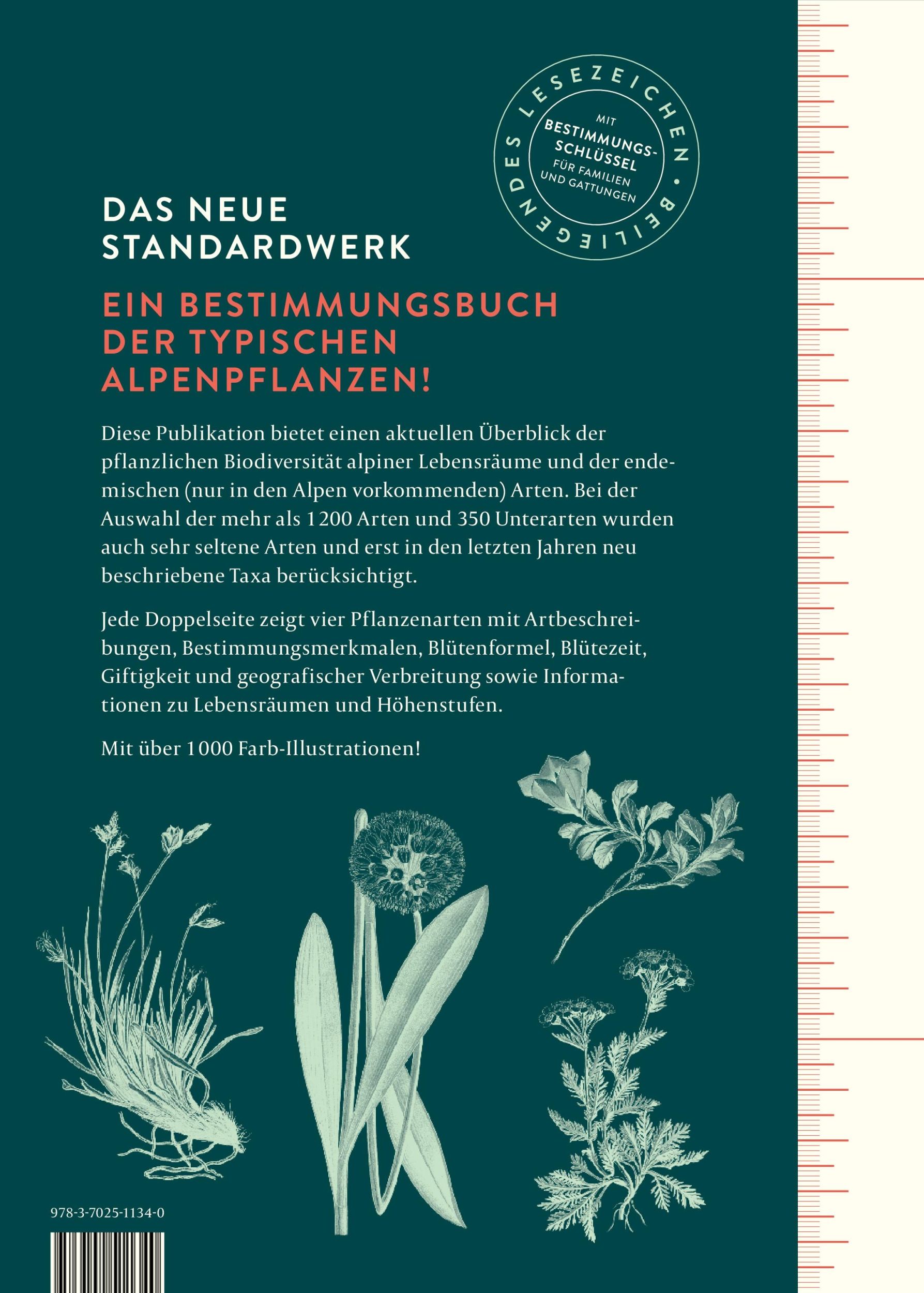 Rückseite: 9783702511340 | Alpenflora | Oliver Tackenberg | Buch | 800 S. | Deutsch | 2024