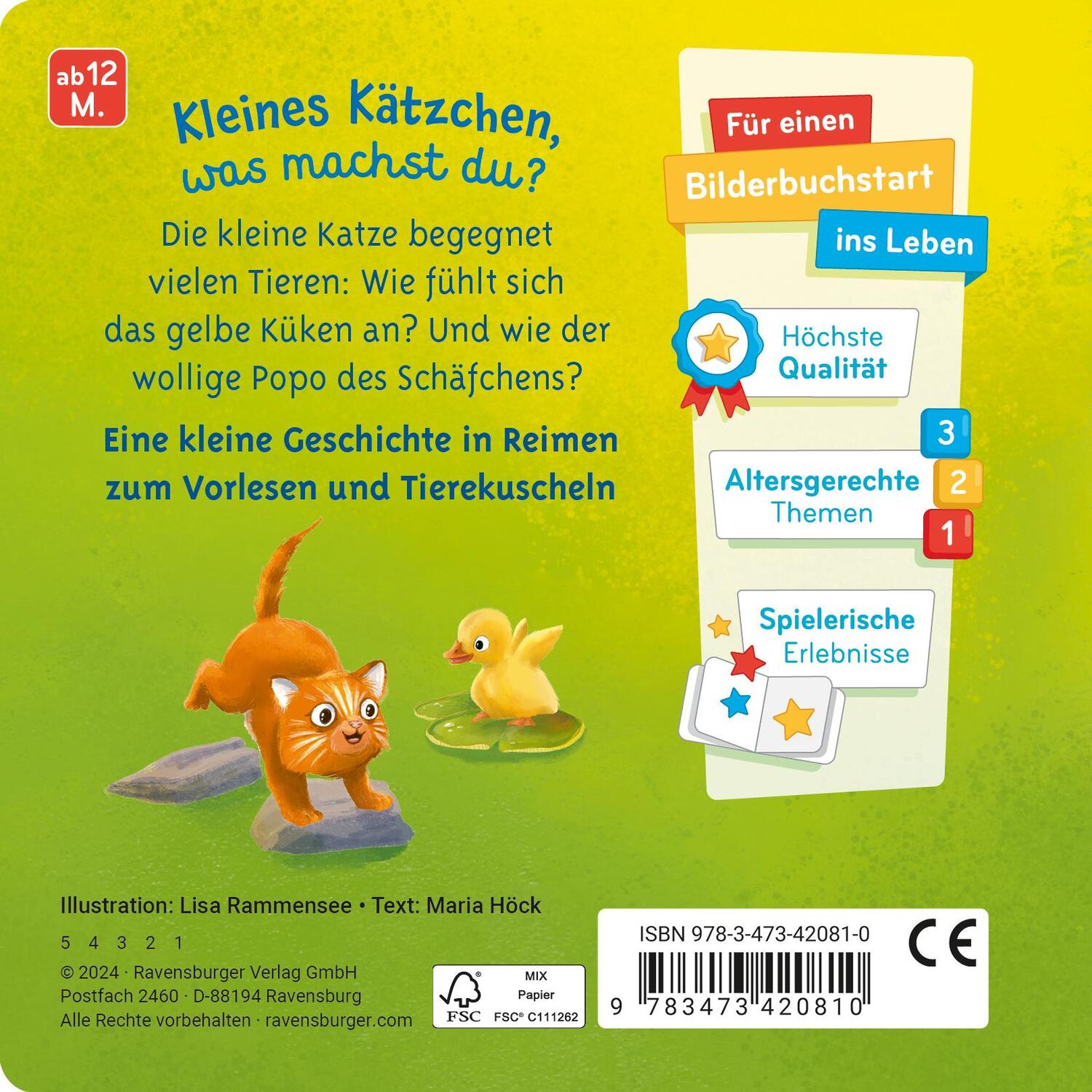 Rückseite: 9783473420810 | Mein liebstes Vorlese-Fühlbuch: Die kleine Katze | Maria Höck | Buch