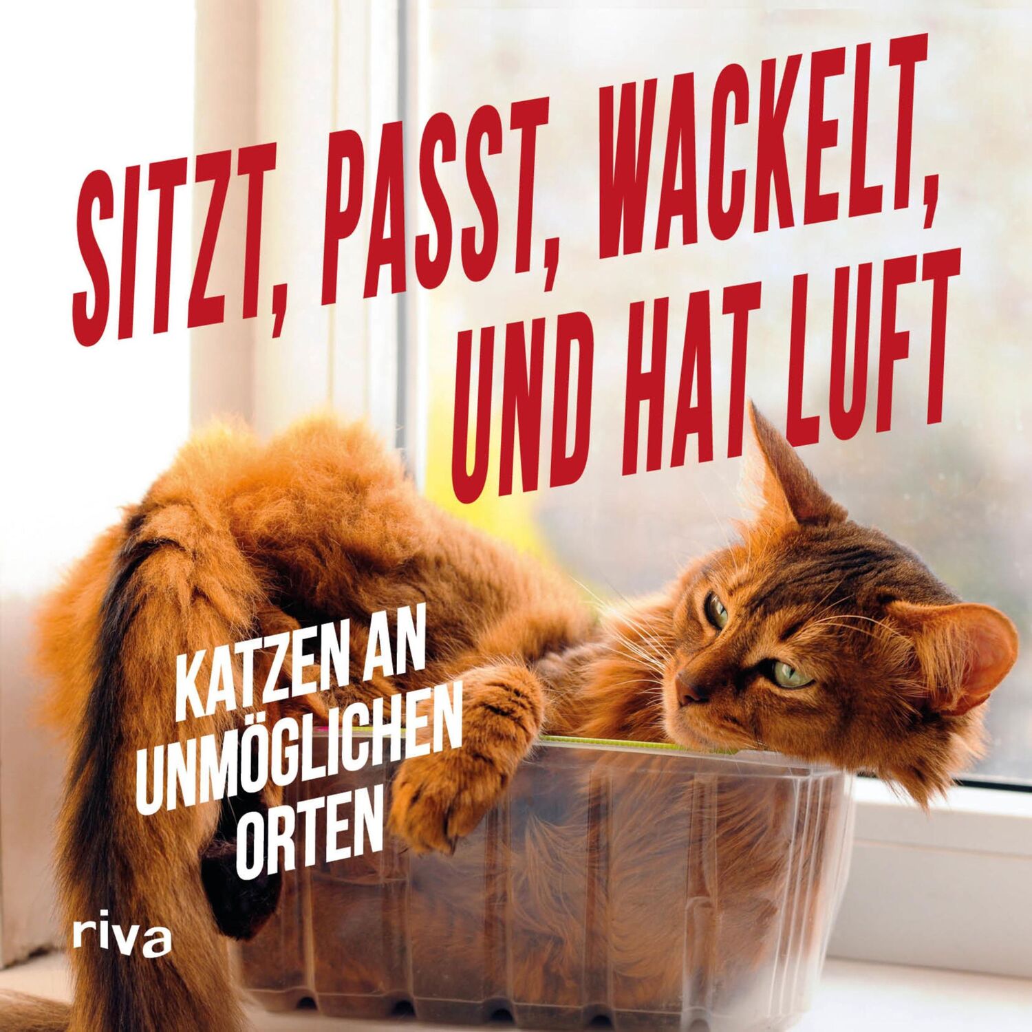 Cover: 9783868837803 | Sitzt, passt, wackelt und hat Luft | Katzen an unmöglichen Orten