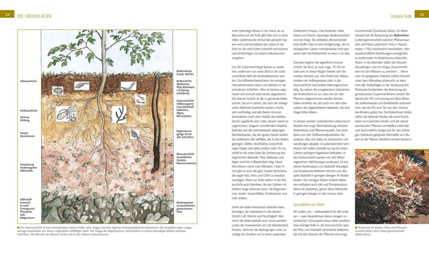 Bild: 9783835416932 | Der Biogarten | Das Original - komplett neu. Mit Videolinks im Buch