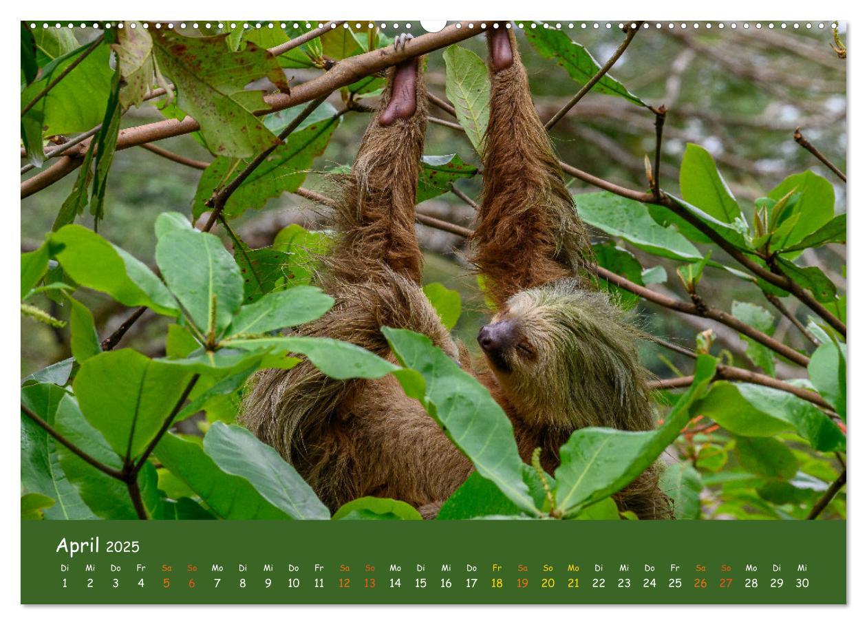 Bild: 9783383830099 | Costa Rica - Naturparadies zwischen Karibik und Pazifik...