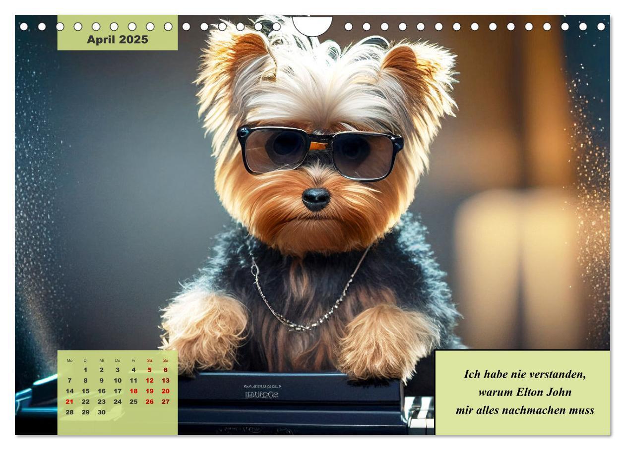 Bild: 9783383920523 | Der humoristische Yorkshire Terrier Kalender (Wandkalender 2025 DIN...