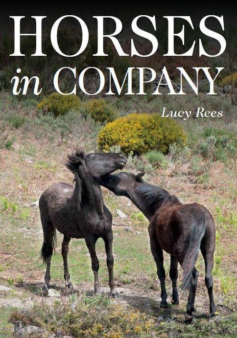 Cover: 9781908809568 | Horses in Company | Lucy Rees | Taschenbuch | Kartoniert / Broschiert