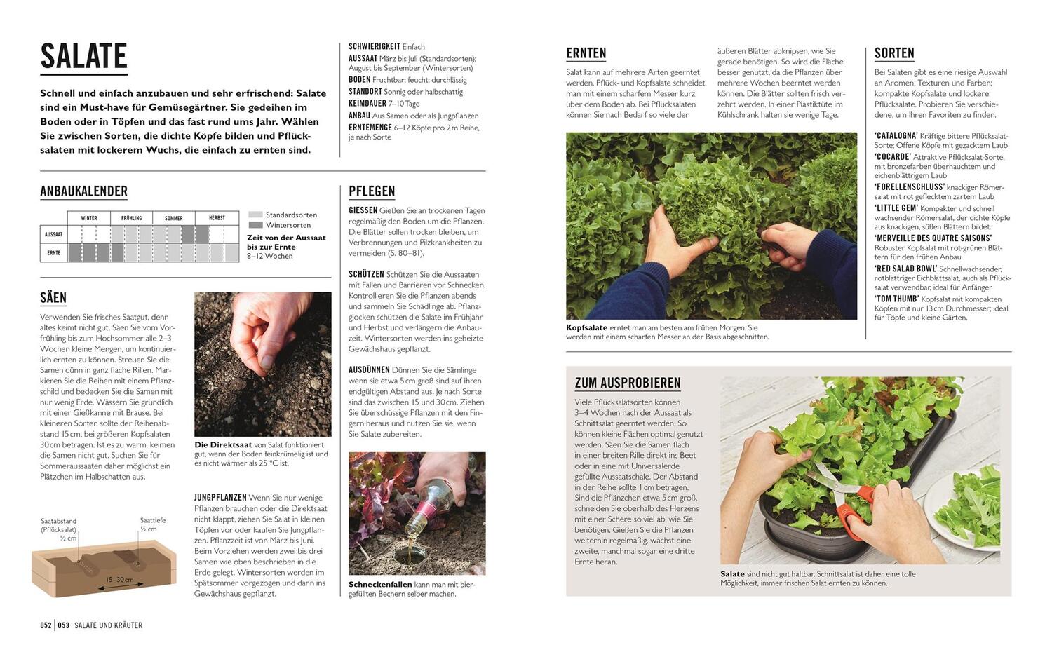 Bild: 9783831043941 | Grünes Gartenwissen. Gemüse anbauen | Jo Whittingham | Taschenbuch