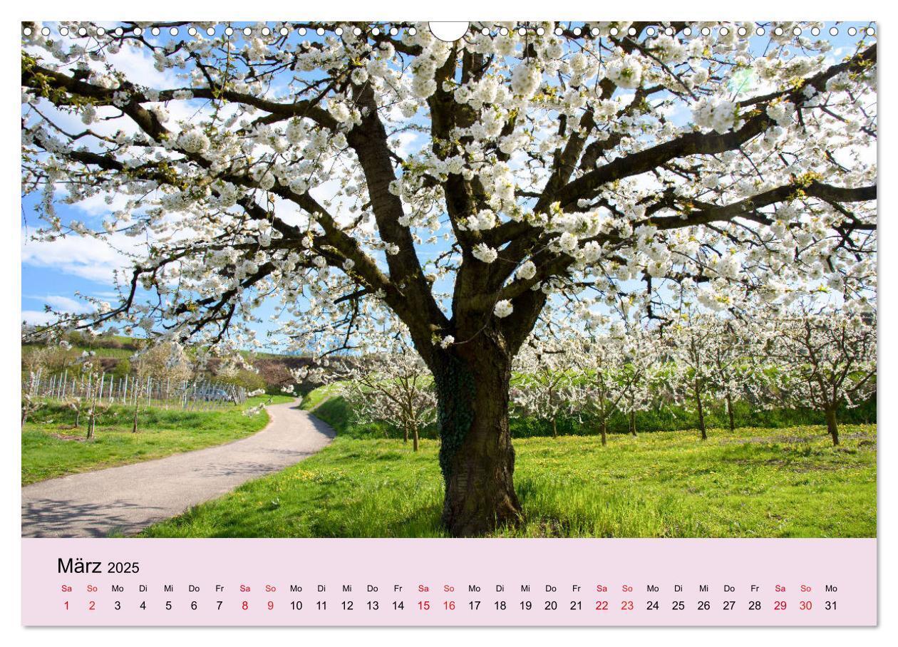 Bild: 9783383794285 | Augenblicke im Kaiserstuhl (Wandkalender 2025 DIN A3 quer),...