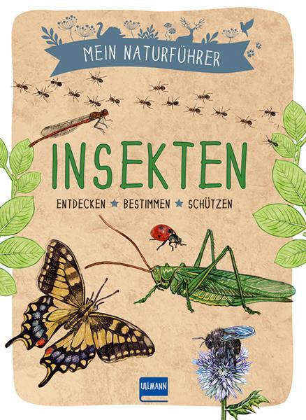 Cover: 9783741524660 | Mein Naturführer - Insekten | Entdecken · bestimmen · schützen | Buch