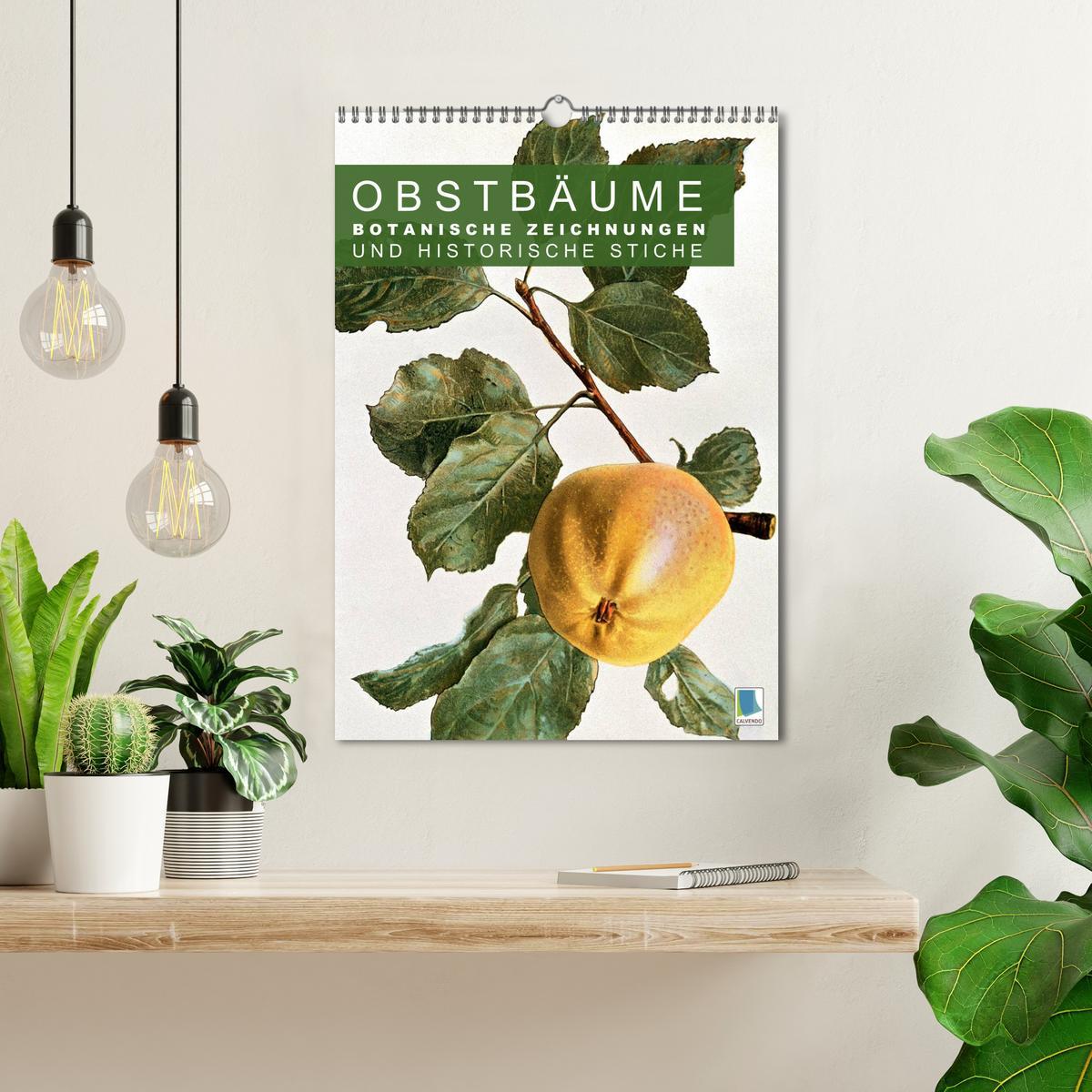 Bild: 9783457046357 | Obstbäume: Botanische Zeichnungen und historische Stiche...