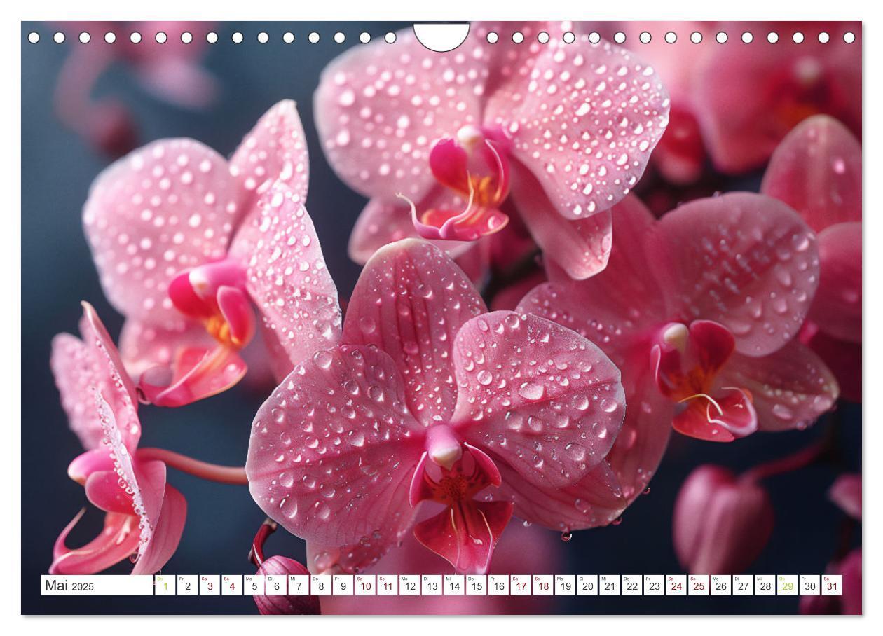 Bild: 9783457165089 | Orchideen - farbenfroh durchs Jahr (Wandkalender 2025 DIN A4 quer),...