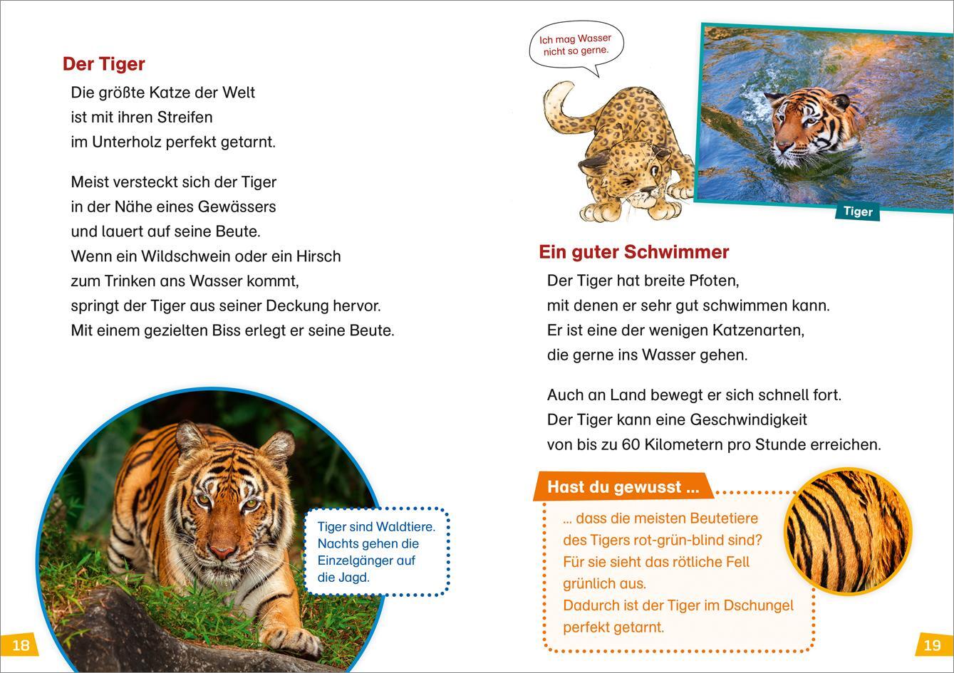 Bild: 9783788676735 | WAS IST WAS Erstes Lesen Band 17. Raubkatzen | Christina Braun | Buch