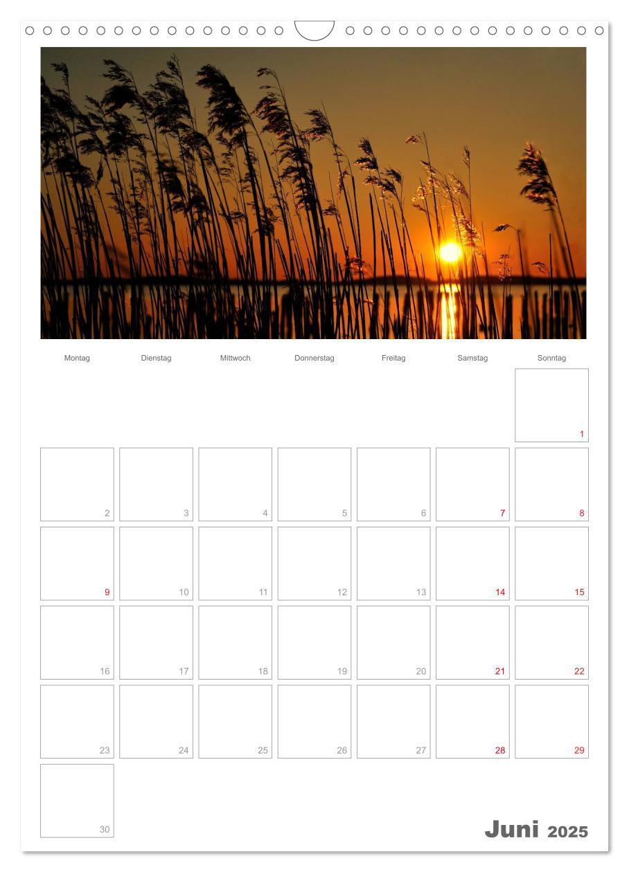 Bild: 9783457082607 | Insel Rügen / Planer (Wandkalender 2025 DIN A3 hoch), CALVENDO...