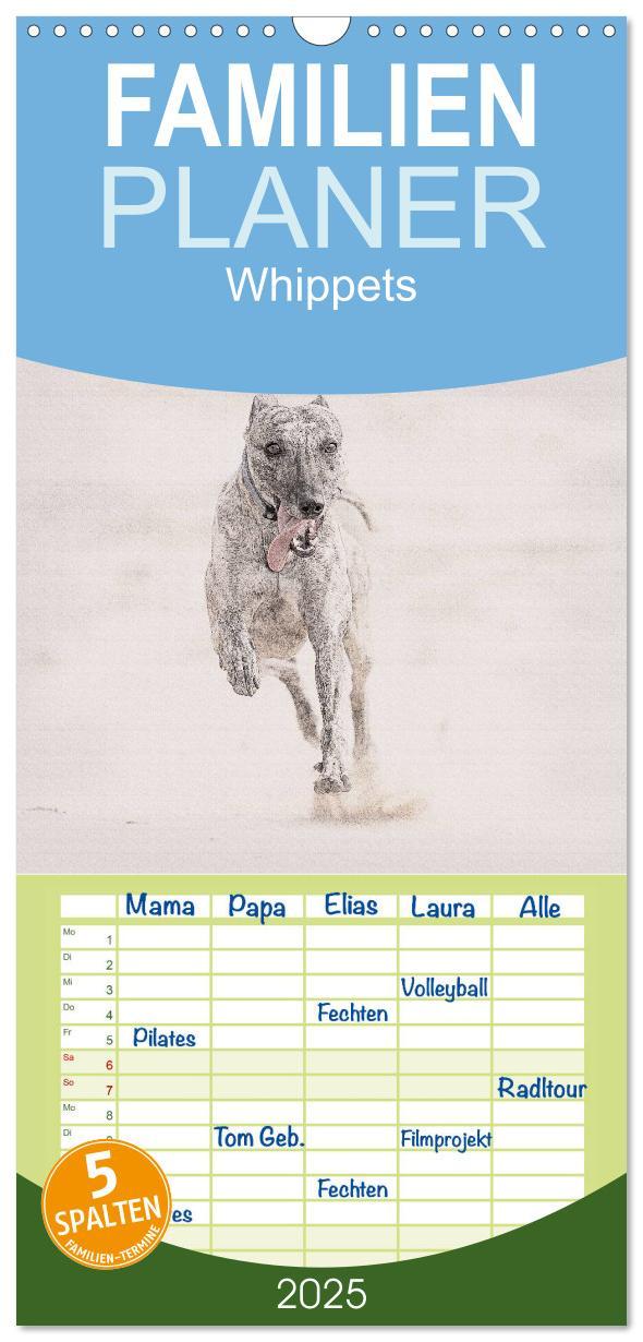 Cover: 9783457121146 | Familienplaner 2025 - Whippet 2025 mit 5 Spalten (Wandkalender, 21...