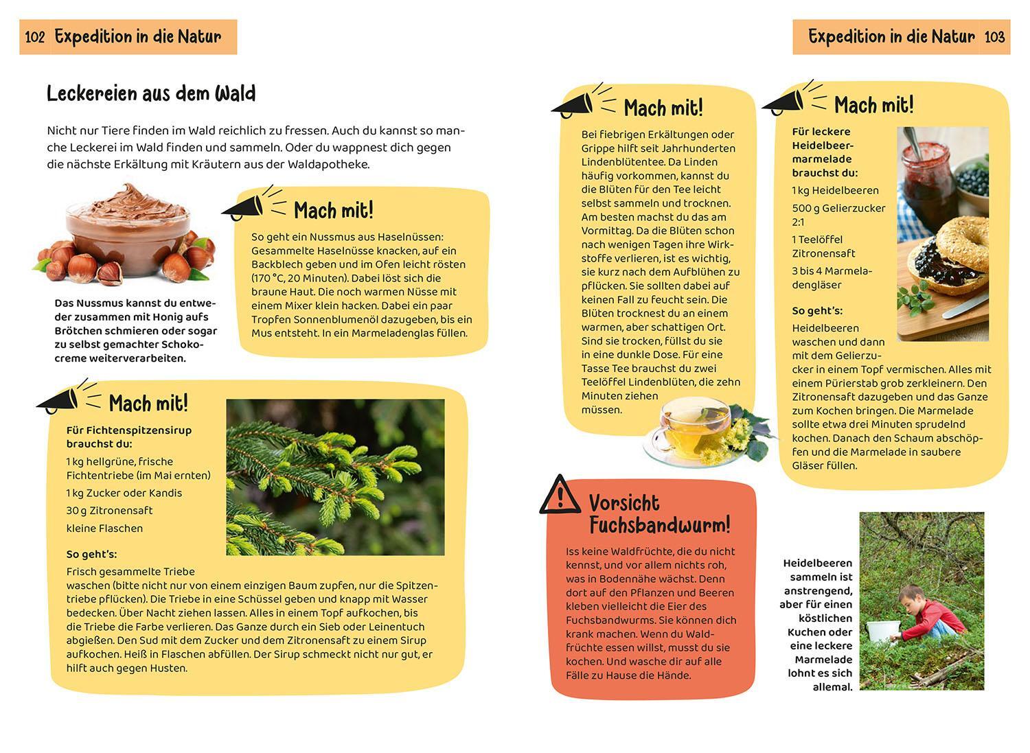 Bild: 9783440175750 | Was lebt im Wald? Kindernaturführer | Holger Haag | Taschenbuch | 2024